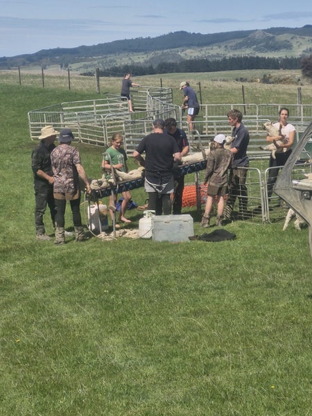 4 Rivers Farming Carousel 5