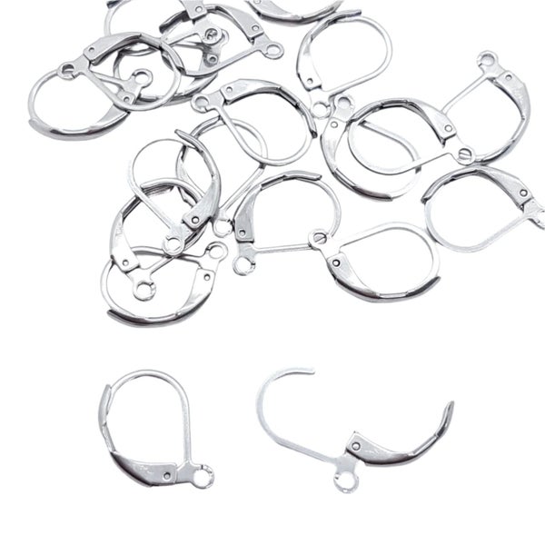 20pc Stainless Steel Leverback Earring Hooks Carousel 1