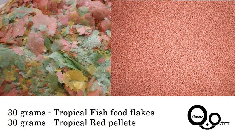 Tropical Fish Food - Tropical Flakes (30g) & Tropical fish food pellets (30g) Carousel 1