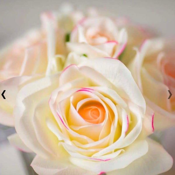 Cote Noire-Five Roses in Black and Pink Blush Carousel 4