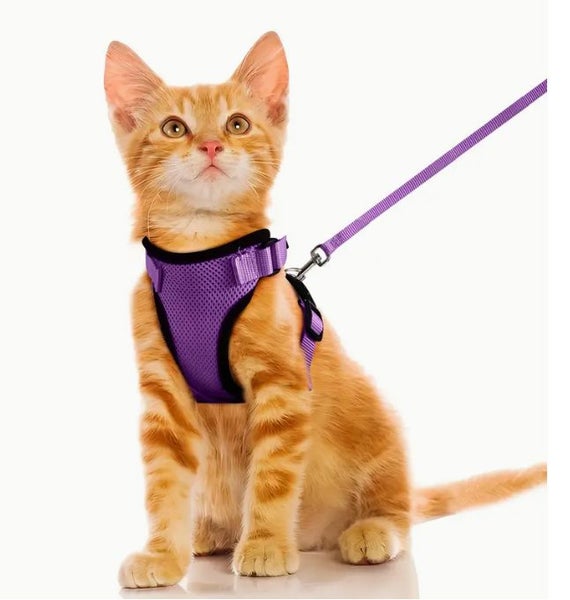 Cat Harness Leash Set, Size S, Purple Carousel 1