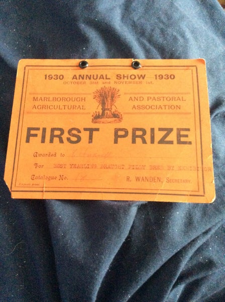 1930 annual show marlborough agricultural show first prize c andrell Carousel 1