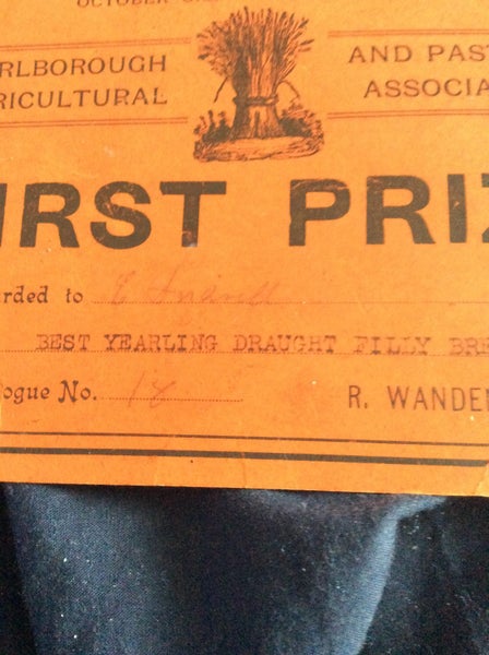 1930 annual show marlborough agricultural show first prize c andrell Carousel 2