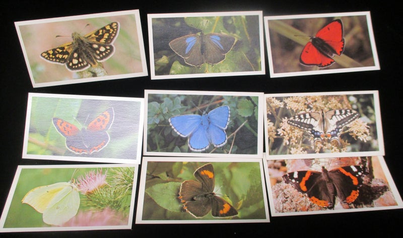 CG 6602 - Original Tobacco Cigarette Card - Grandee British Butterflies - 1983 Carousel 1