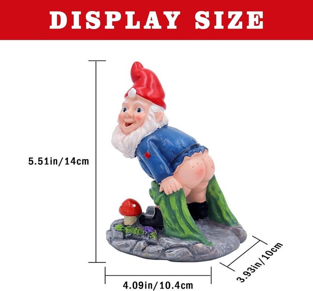 Rude Flashing Bum Garden Gnome Carousel 5