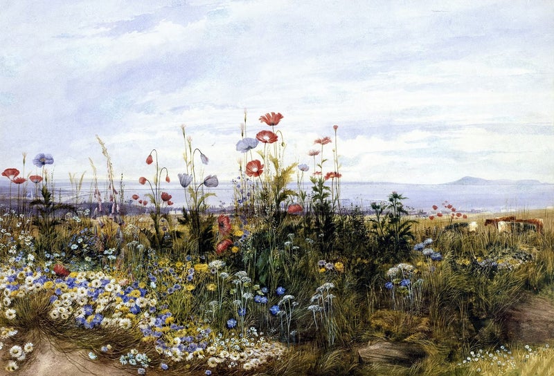 FREE SHIPPING - Art Print - Wildflowers with a View of Dublin by Andrew Nicholl Carousel 1