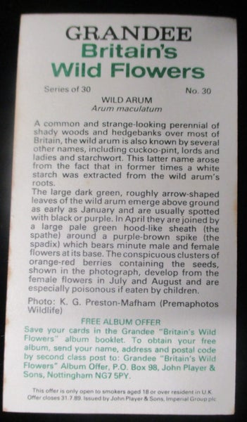 CG 6616 - Original Tobacco Cigarette Card - Britains Wild Flowers - Issue 1986 Carousel 2