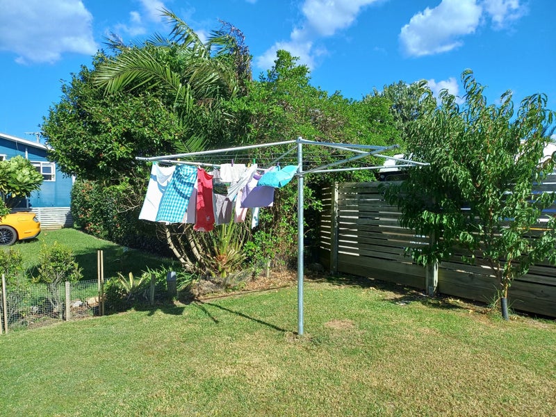 Tasman Rotary Clothesline Carousel 1