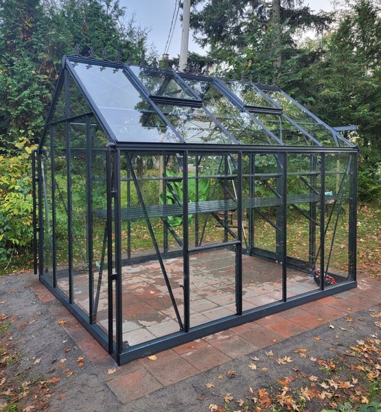 Fairway Obsidian Haven Glasshouse 8x10ft63003262482561112
