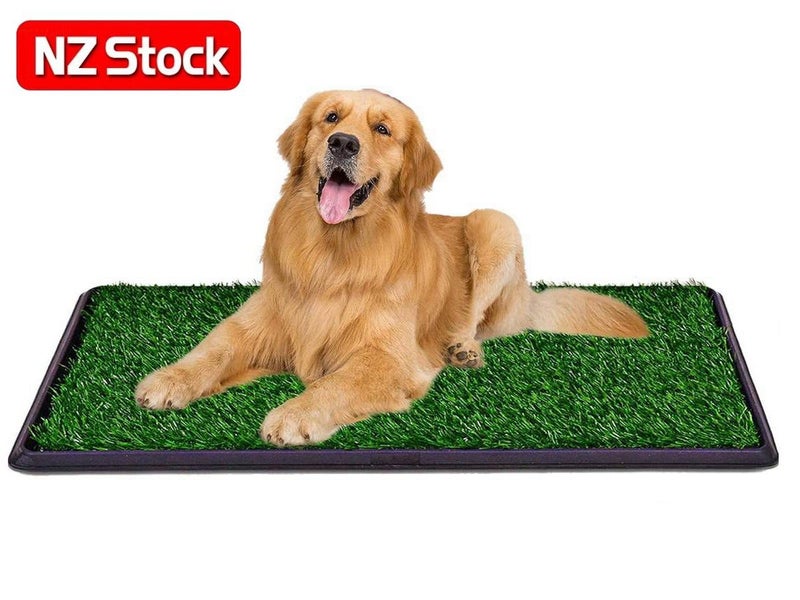 Dog Training Toilet Carousel 1