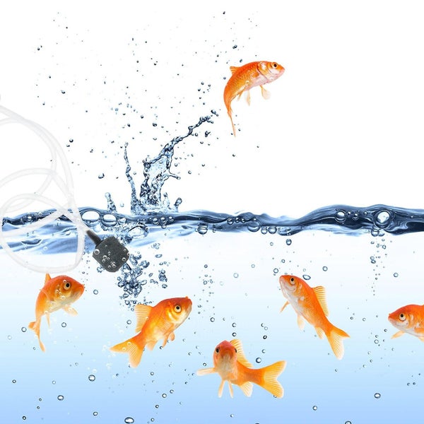 1 Set Of Mini Oxygen Aerator Aquarium Pump Fish Tank Usb Design Oxygenator Carousel 3