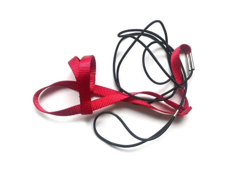 Parrot Bird Harness Leash Outdoor Activities Flying Traction Straps Band Flying Carousel 1