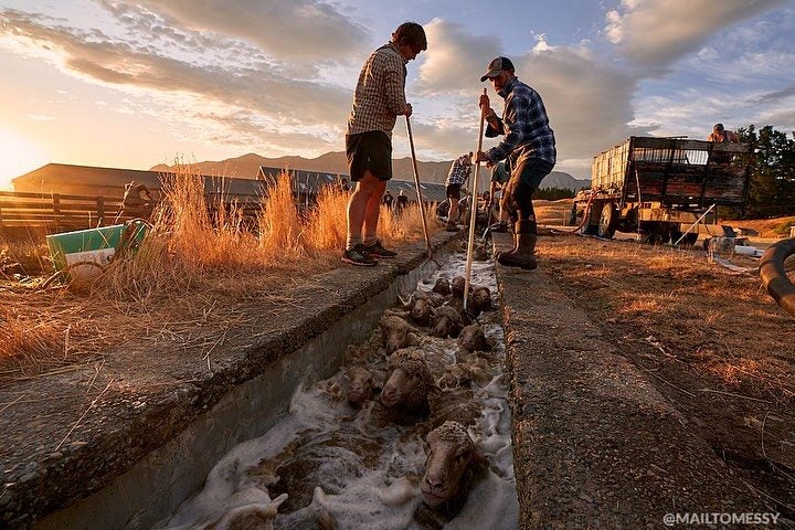 Mesopotamia Station, Carousel 2