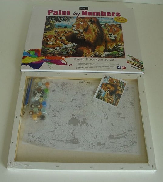 Lions Large Paint by Numbers Painting Carousel 1
