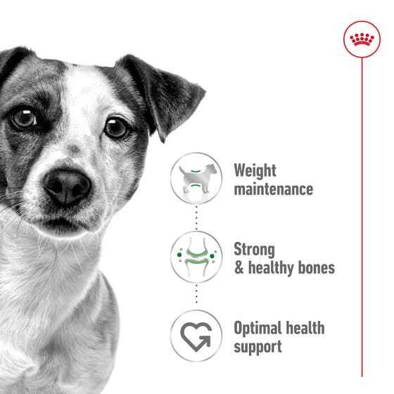 Royal Canin Dog Mini Adult Mousse 195g Carousel 2