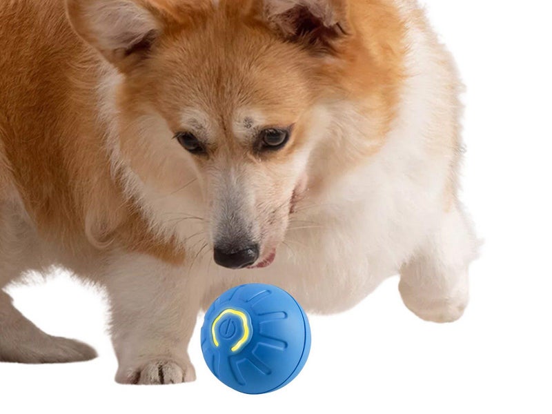 Shaky Ball Toy Automatic Jumping Ball Dog Toy Vibrating Ball For Pet Blue Carousel 1
