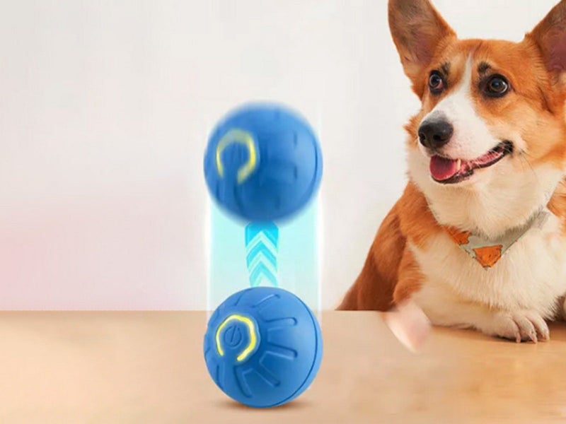 Shaky Ball Toy Automatic Jumping Ball Dog Toy Vibrating Ball For Pet Blue Carousel 2