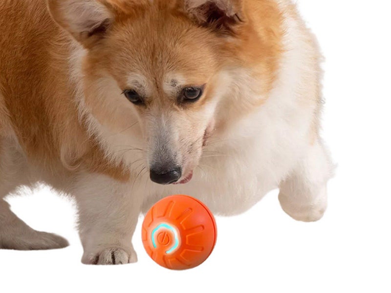 Shaky Ball Toy Automatic Jumping Ball Dog Toy Vibrating Ball For Pet Orange Carousel 1