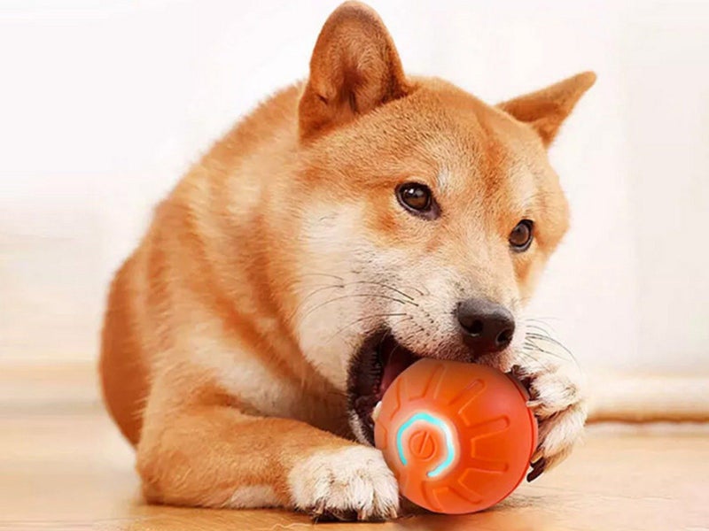 Shaky Ball Toy Automatic Jumping Ball Dog Toy Vibrating Ball For Pet Orange Carousel 8