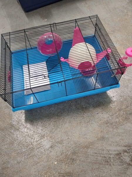 Mouse Critter Penthouse Special Carousel 1