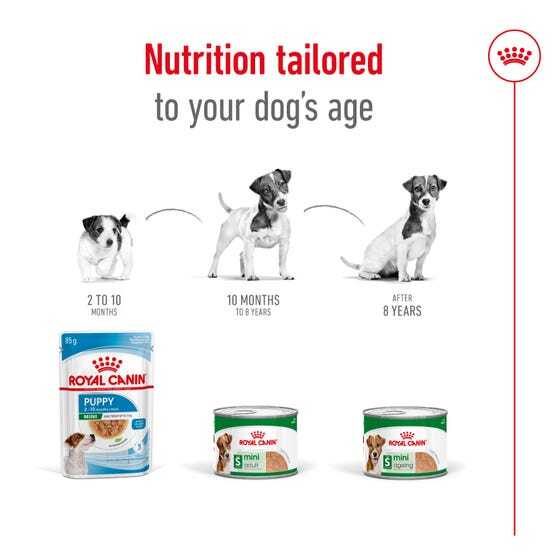 Royal Canin Dog Mini Ageing Mousse 195g Carousel 5