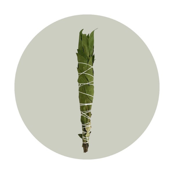 Bay Laurel Smudge Stick Carousel 1