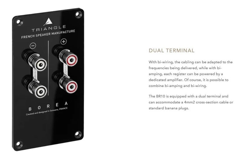 Triangle Borea BR10 Speakers in Black (WhatHifi 5 Stars) Carousel 12