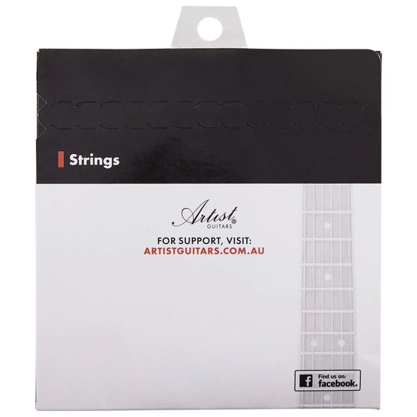 Artist ELST1052 10-52 Electric Guitar Strings Nickel Wound Carousel 3
