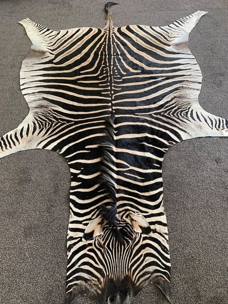 Real Zebra Hide Rug (Premium Quality A Grade) Carousel 1