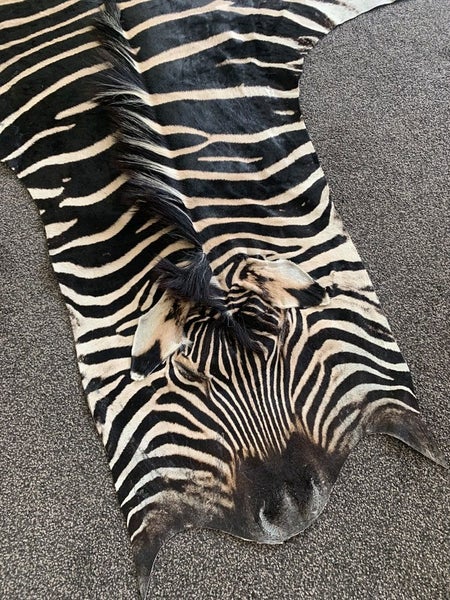 Real Zebra Hide Rug (Premium Quality A Grade) Carousel 2
