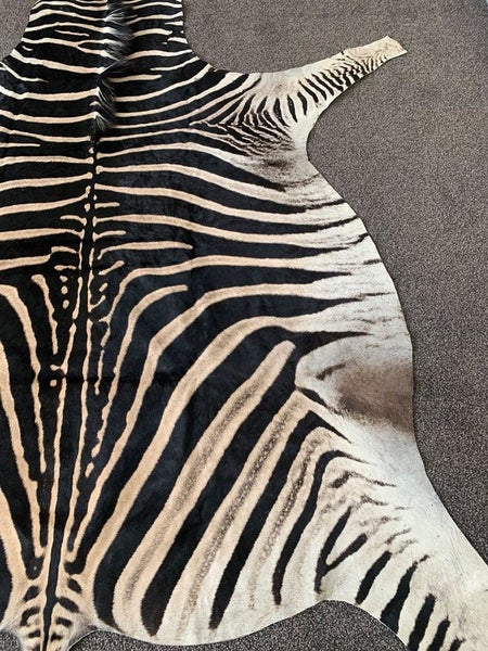 Real Zebra Hide Rug (Premium Quality A Grade) Carousel 5