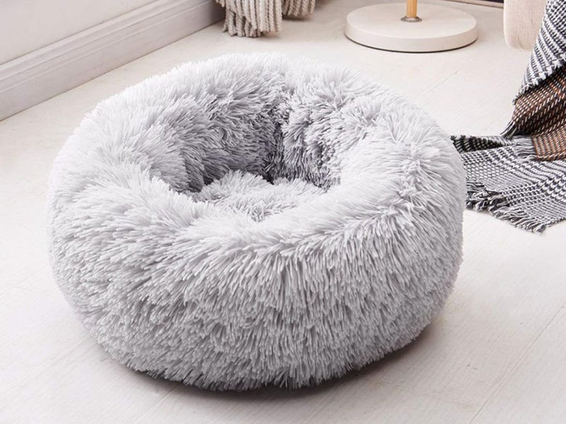 PTN NEW Dog Bed Sale Sale Carousel 2