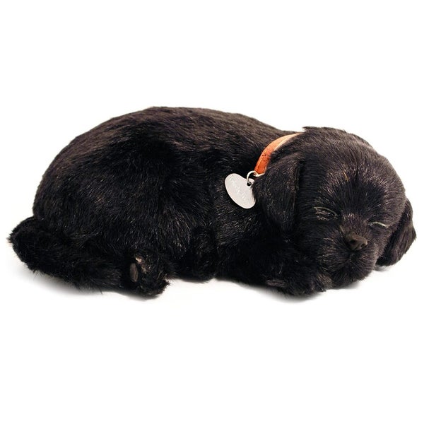 Perfect Petzzz - Black Lab Bundle Carousel 1