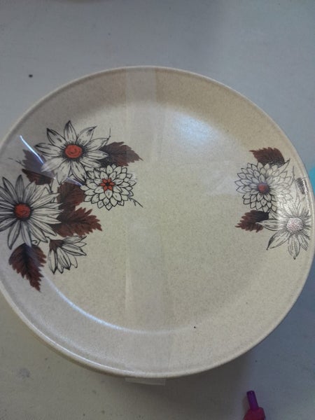 Johnson of Australia Dinner set of 26 Carousel 11