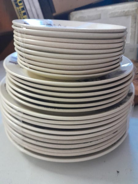 Johnson of Australia Dinner set of 26 Carousel 1
