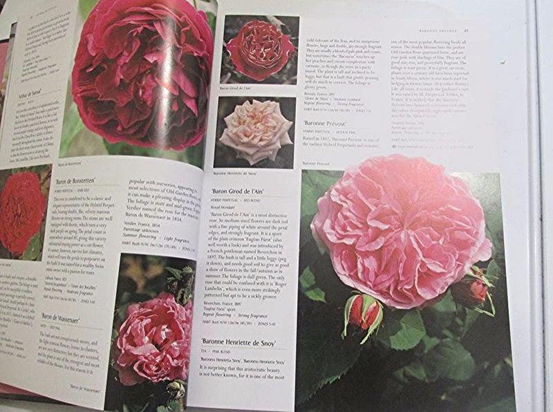 An encyclopedic publication 'Roses - Macoboy's International Edition' Carousel 2