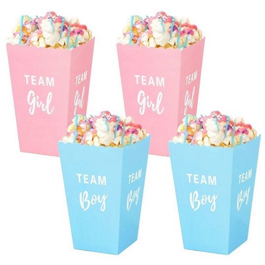 Gender Reveal Baby Shower Party Favours Gifts Boxes Team Boy or Girl Vote Games Carousel 7