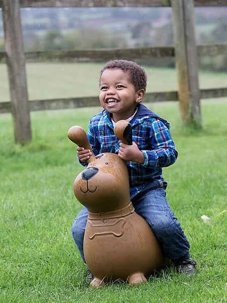 Happy Hopperz - Brown Dog Carousel 2