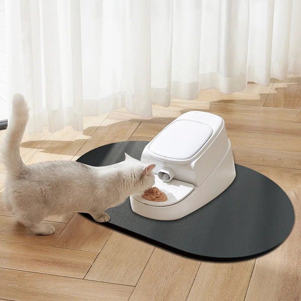 Solid Color Oval Mat for Pets - Absorbent & Non-Slip Carousel 2