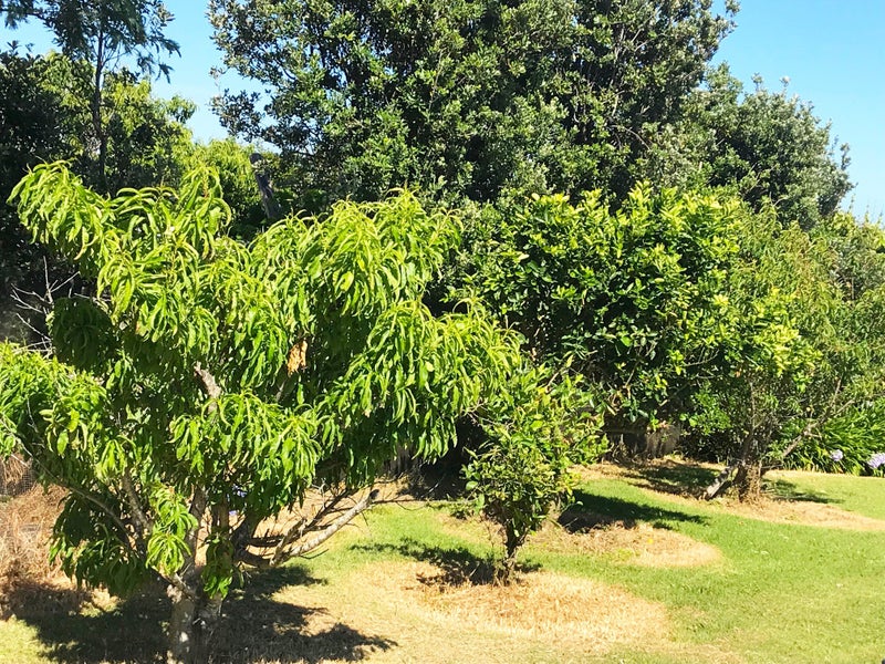 Image 3 of 21