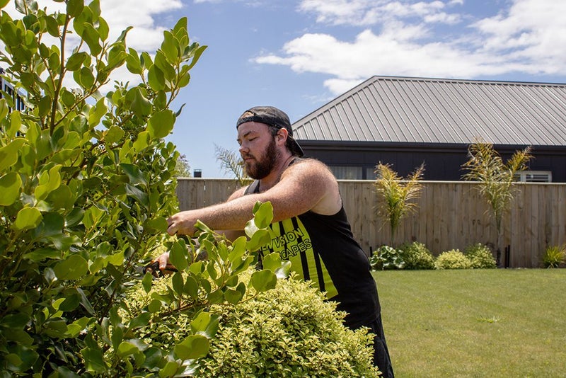 New Vision Landscapes Carousel 6