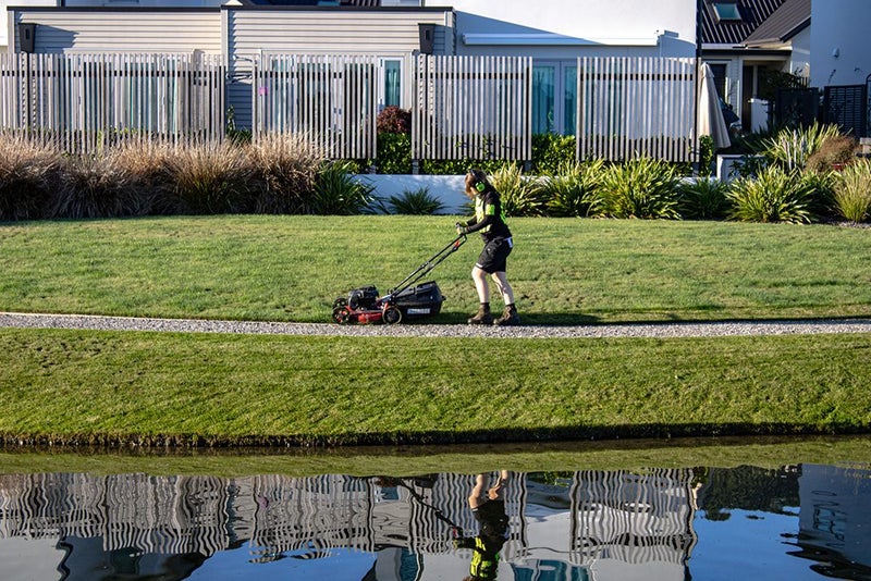 New Vision Landscapes Carousel 2