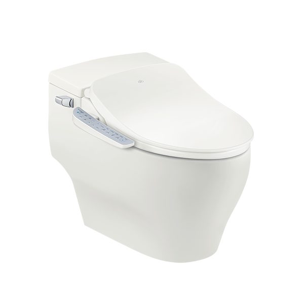 Daewon Electronic Warm Water Bidet DIB-J850 Carousel 2