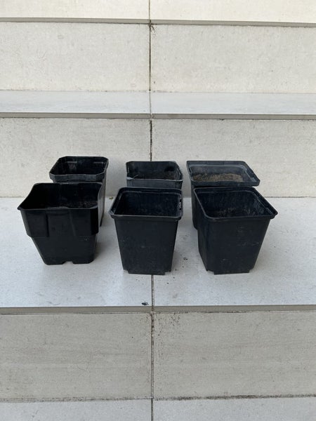 Bulk plant pots Carousel 1