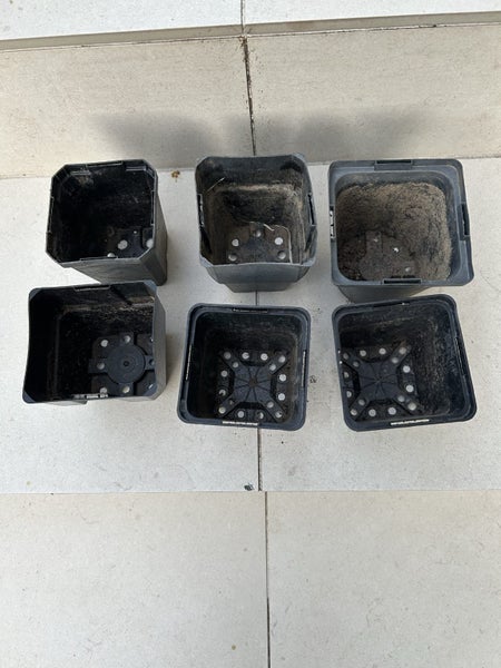 Bulk plant pots Carousel 2