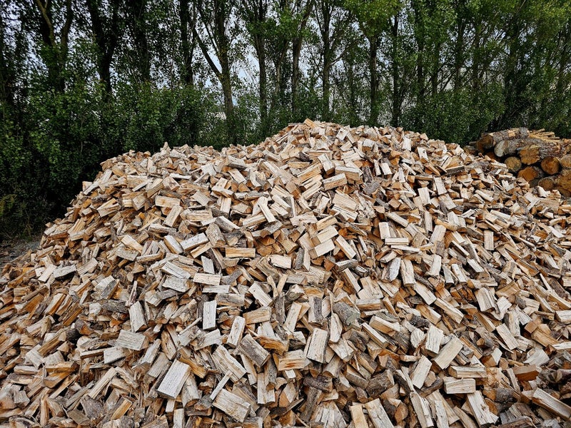 DRY MACROCARPA Carousel 1