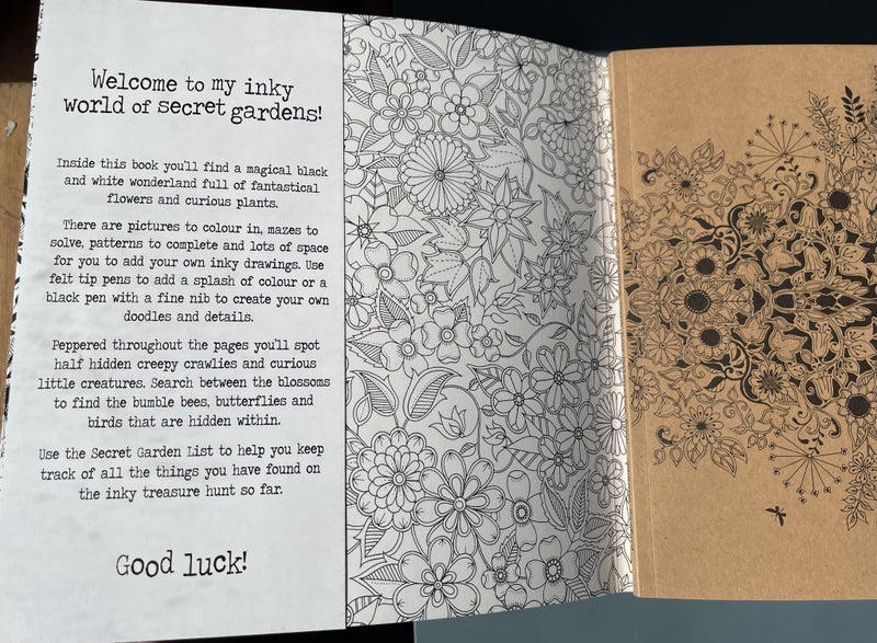 Johanna Basford Secret Garden Adult Colouring Book Carousel 2