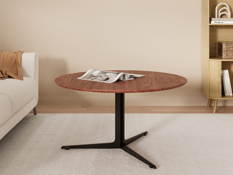 Coffee Table Carousel 2