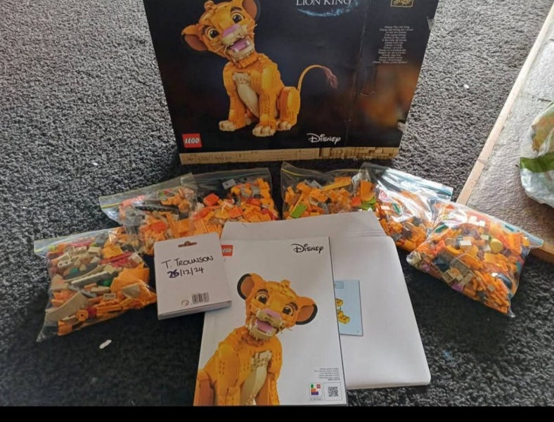 Lego simba set 34247 Carousel 3