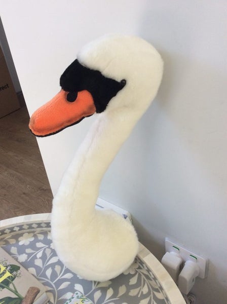HUGE ** SWAN TROPHY HEAD ** WALL HANGING Carousel 5